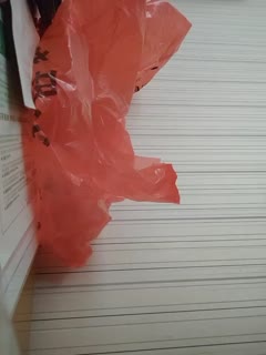六月婷婷婷丁香五月天激情,一级女性自慰片